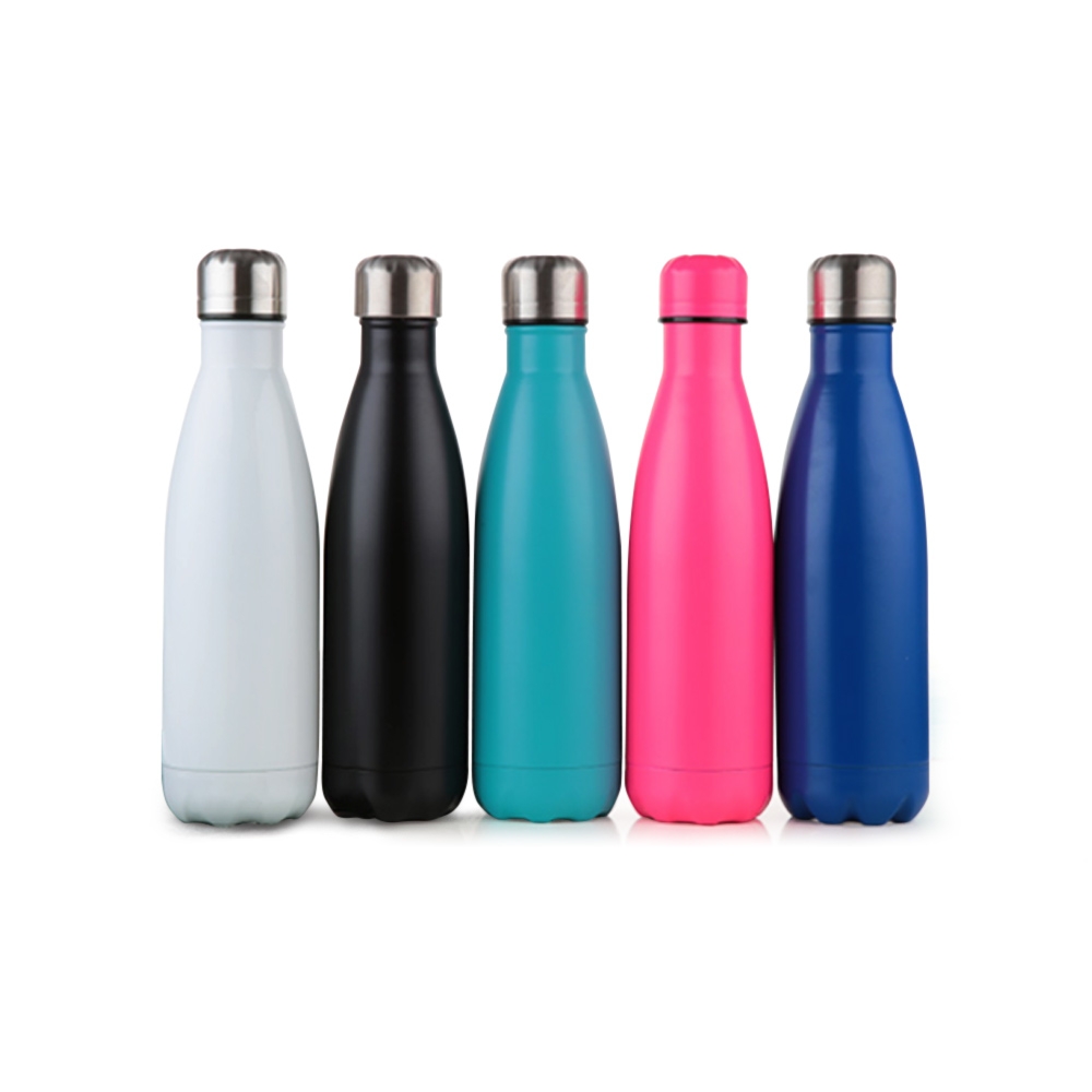 Stainless Steel Water Bottle