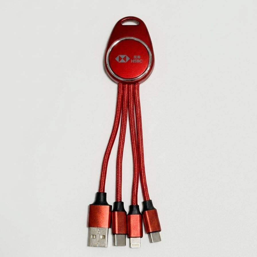 Light Up Logo 3 in 1 Charging Cables