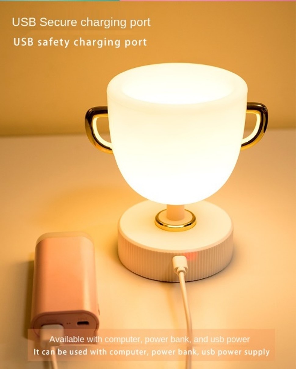 Multi-functional trophy pen container Night Light USB Rechargeable remote control colorful lights