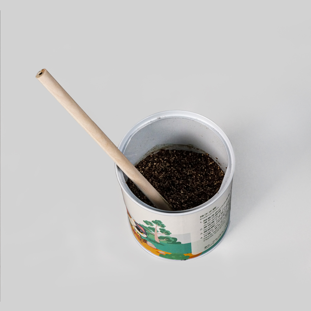 環保可種植種子鉛筆