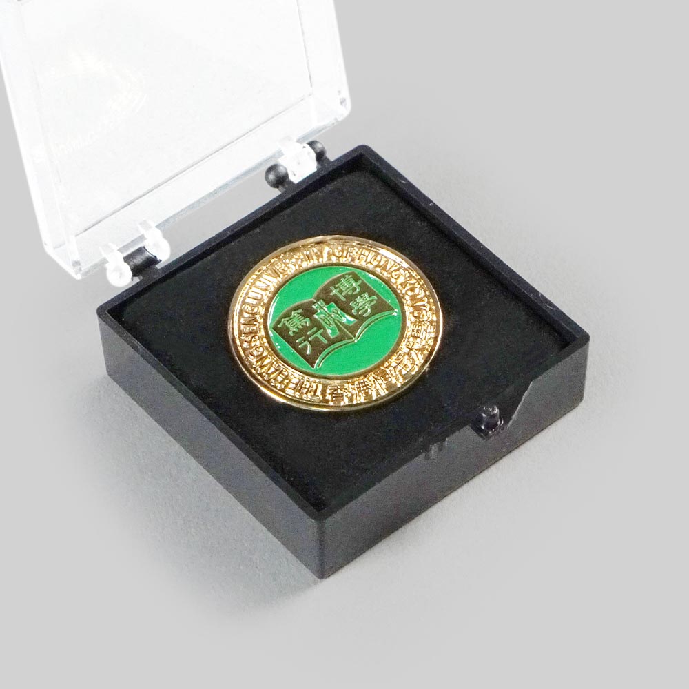 School Pin / Badge