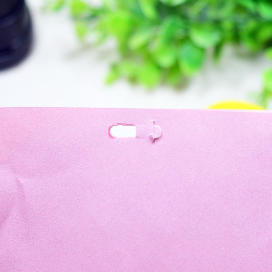 Stapleless stapler