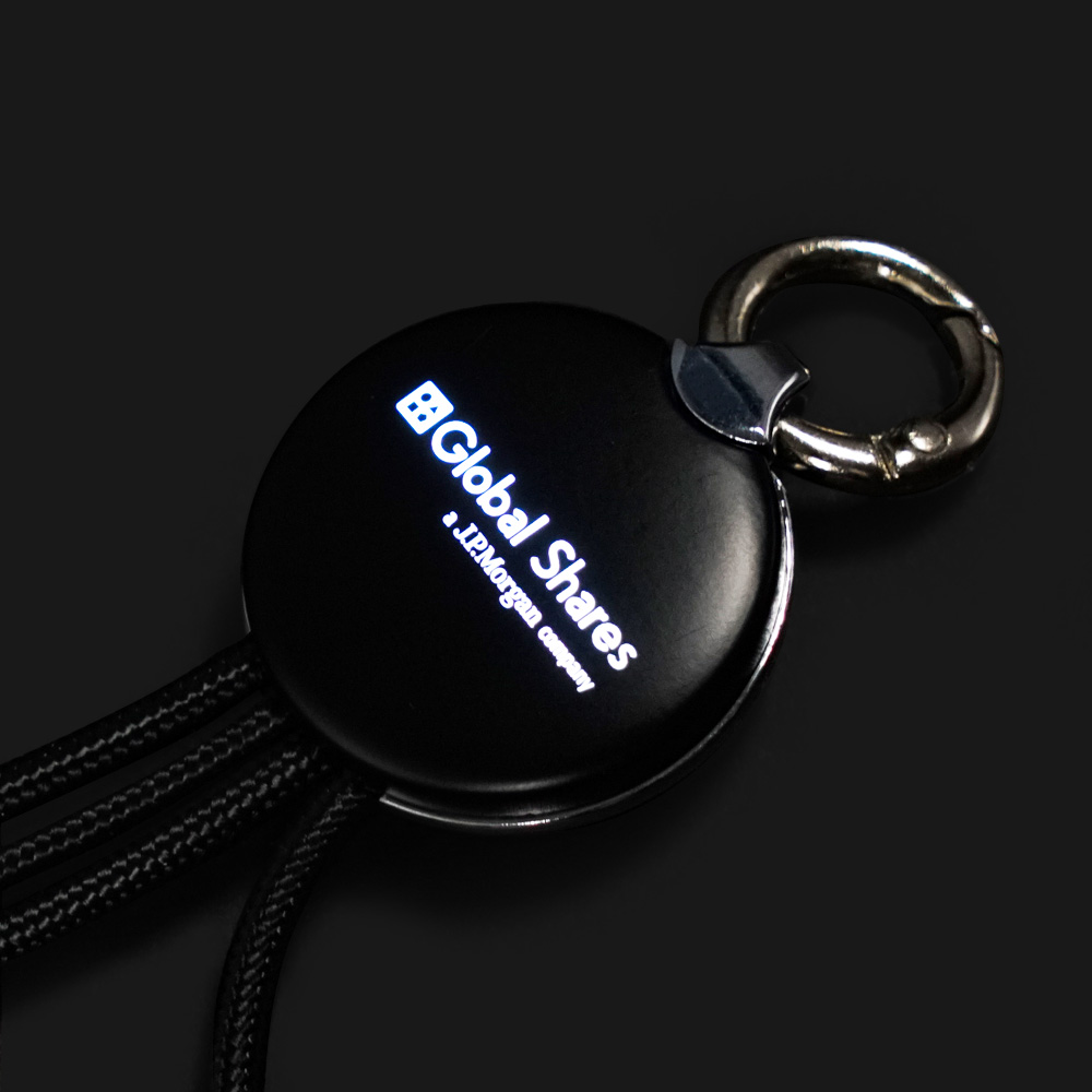 Light Up Logo 3 in 1 Charging Cables