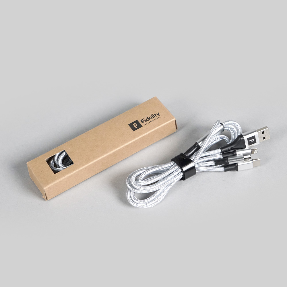 5-in-1 充電線