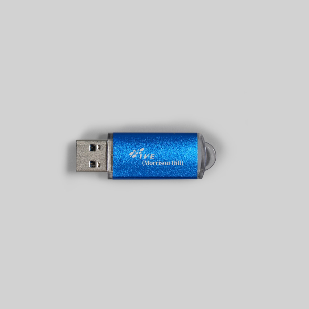 USB手指儲存器