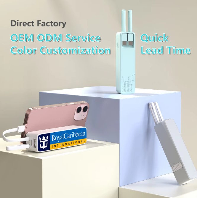 Flashlight with Mini Portable Power Bank (B/W)