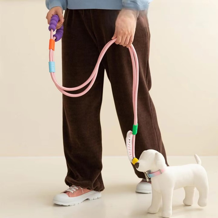 Multifunctional Dog Leash (Pet item)