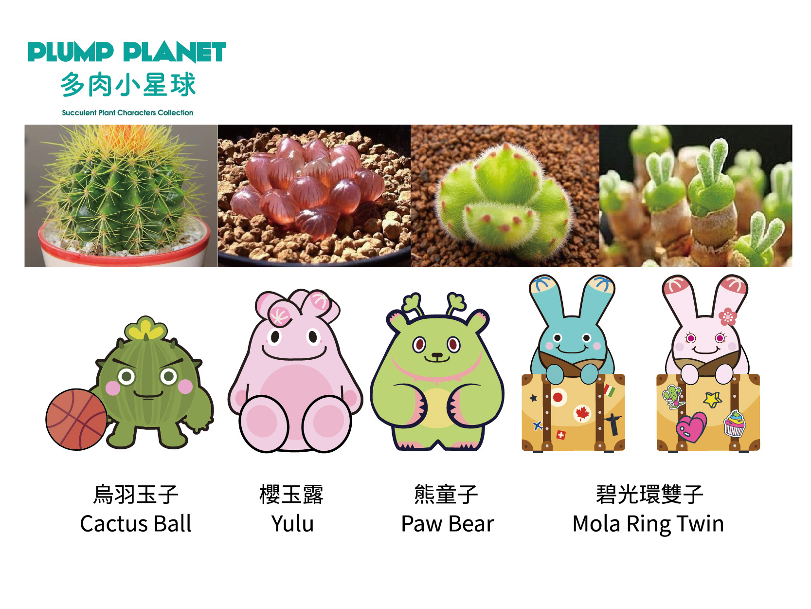 多肉小星球  (IP授權角色)