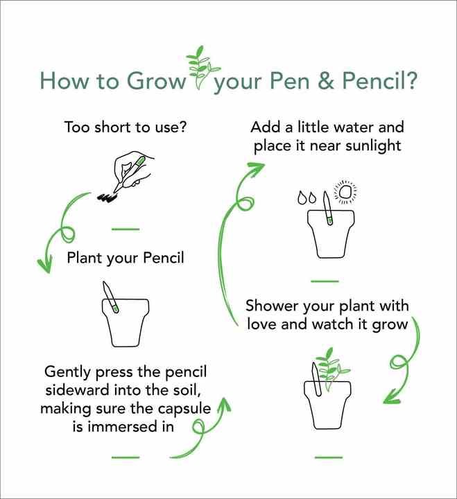 環保可種植種子鉛筆
