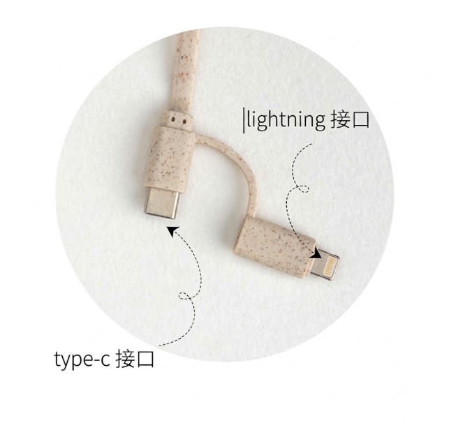 3-in-1 Charging Cable
