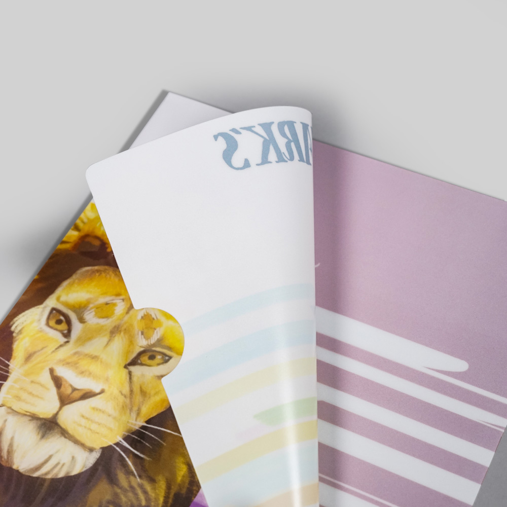 A4 PP Folder (L Shape)